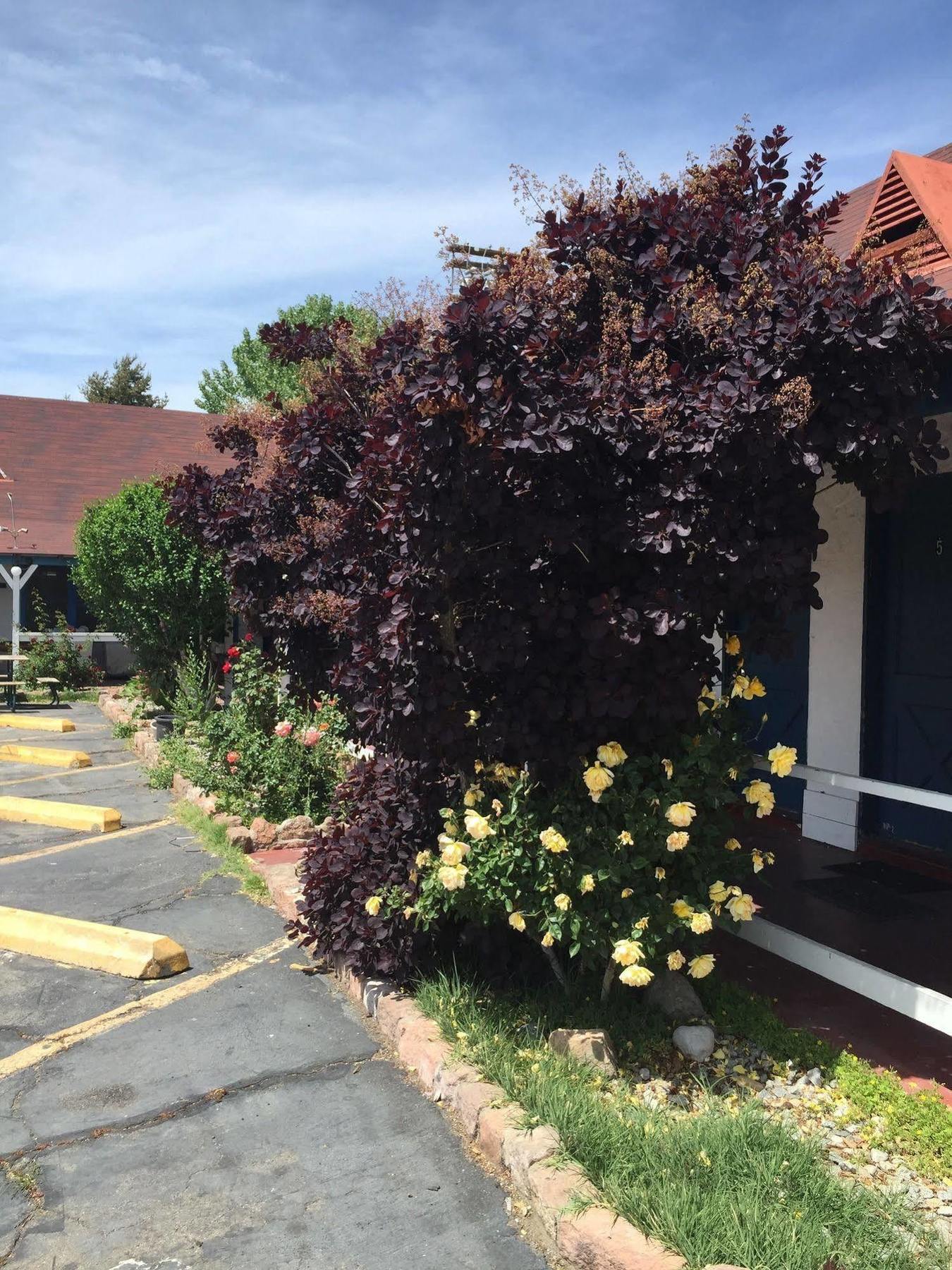 Townhouse Motel Bishop Luaran gambar